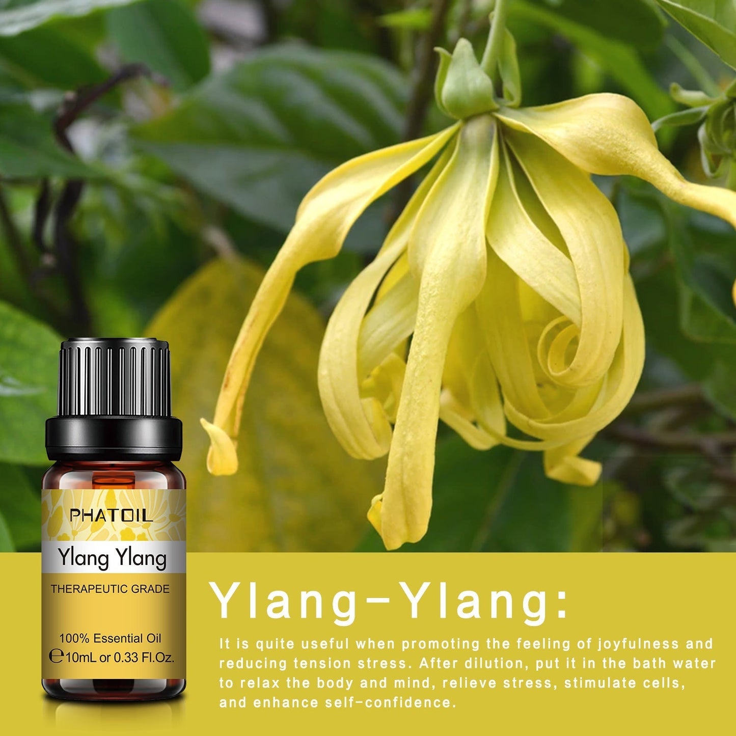 Phatoil Pure Natural Essential Oils Set (10 pcs)