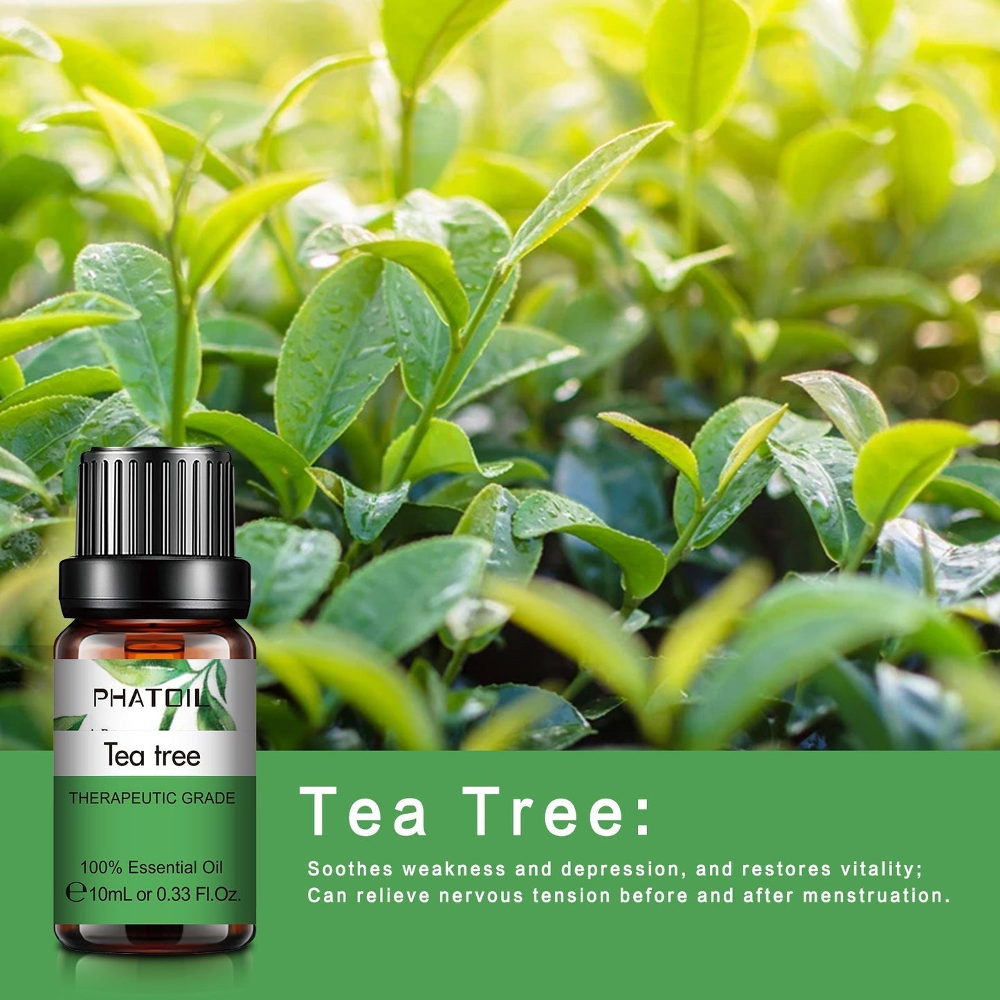 Phatoil Pure Natural Essential Oils Set (10 pcs)