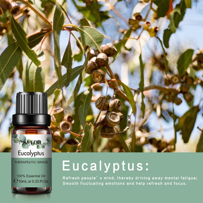 Phatoil Pure Natural Essential Oils Set (10 pcs)